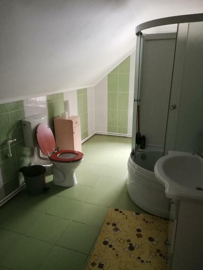 Pension, Camping & Biker Station Zur Deutschen Eiche Ciocanesti Exterior photo